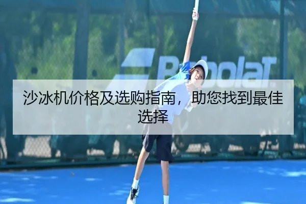 沙冰机价格及选购指南，助您找到最佳选择
